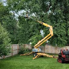 Best Tree Risk Assessment  in Lansdowne, VA